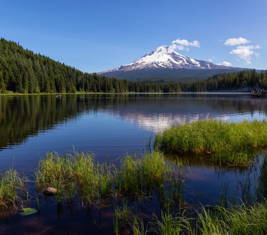 Mt Hood