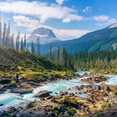 Must Do Hikes in Glacier National Park