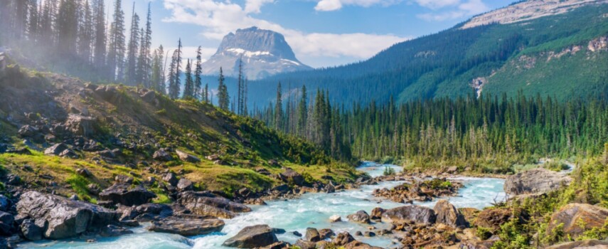 Must Do Hikes in Glacier National Park