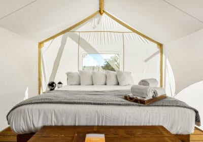 Suite tent king sized bed