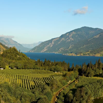 Columbia River Gorge Must-Visit Wineries