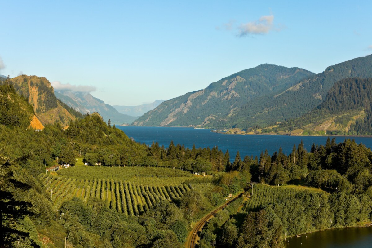 Columbia River Gorge Wineries