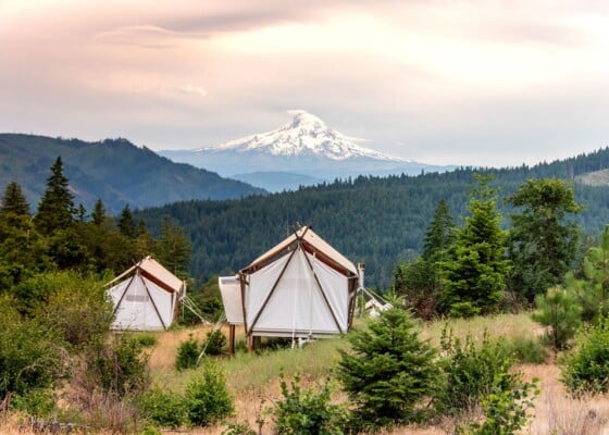 Two canvas tents with Mt. Hood in the background.