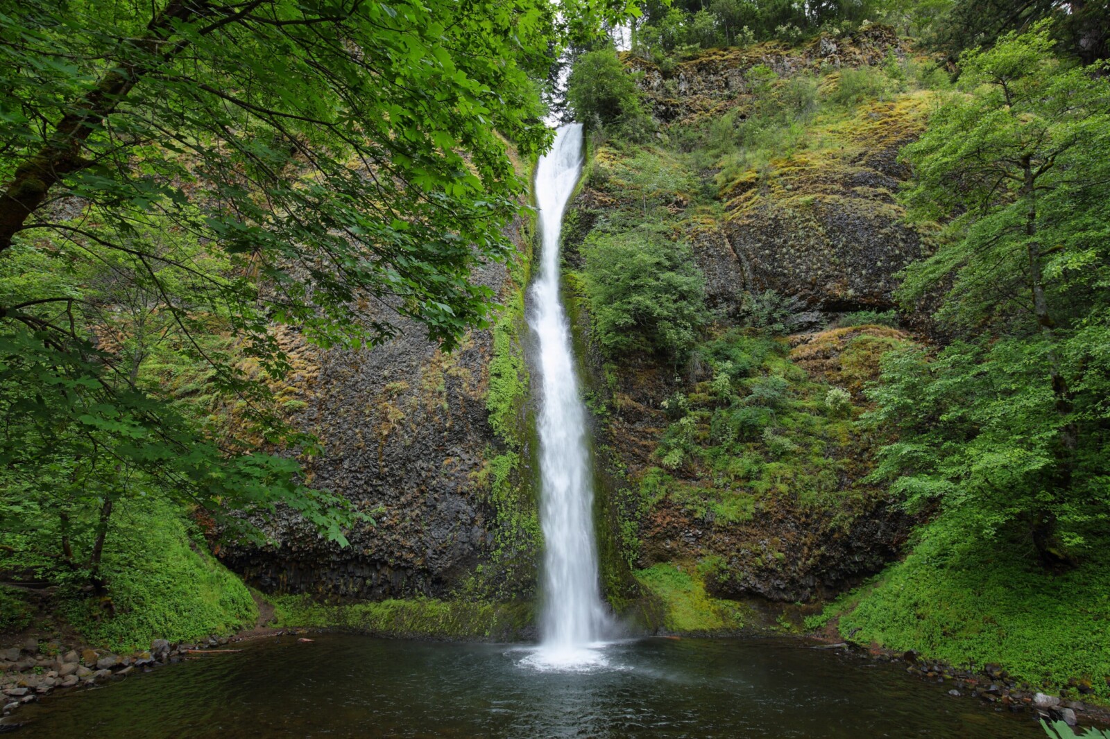 Waterfall surrounded by lush green forest.